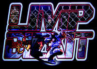 Limp Bizkit