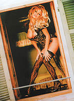 Pamela Anderson