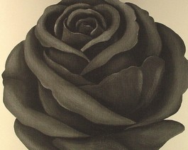 Schwarze Rose - Retro-Tapete