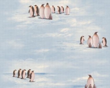 Tapete - Pinguine