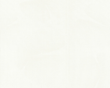 Tapete - Contzen II - Linear Leaf  Weiss-Metallic