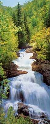 Fototapete - Wasserfall - Wonderfall - Klicken fr grssere Ansicht