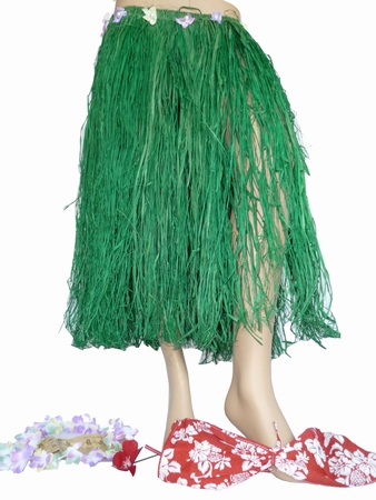 Hula Bastrock Grn mit Bikini 