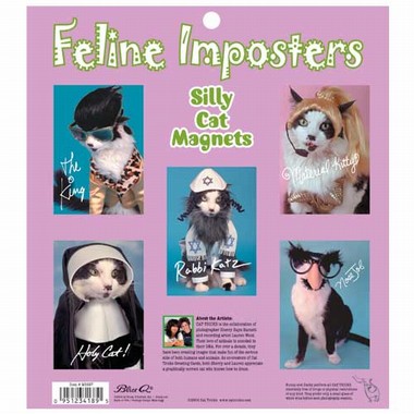 Silly cats Magnet Set