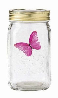 Schmetterlingsglas  Morpho Falter pink 